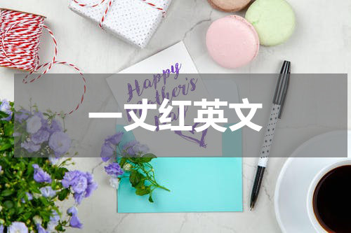 一丈红英文