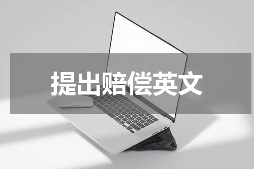 提出赔偿英文