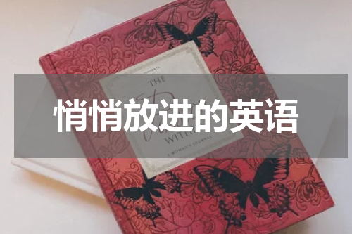 悄悄放进的英语