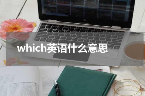 which英语什么意思