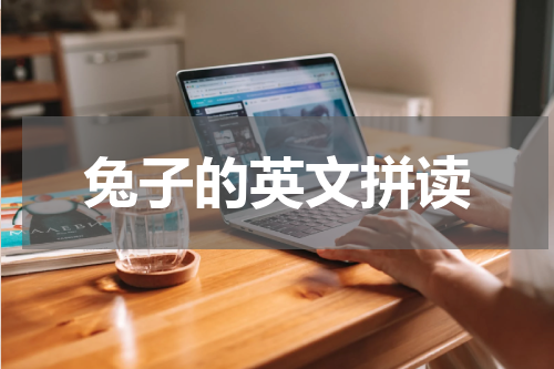 兔子的英文拼读