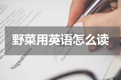 野菜用英语怎么读
