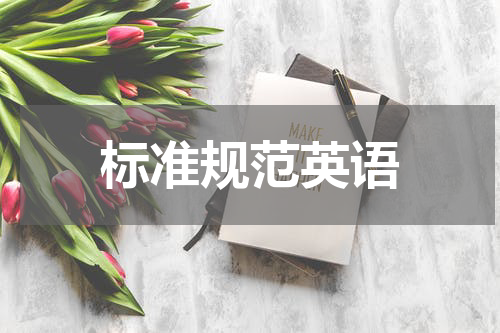 标准规范英语