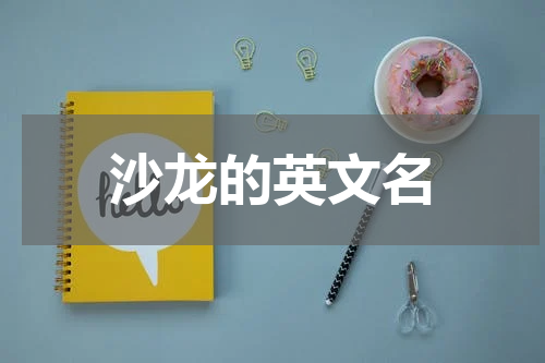 沙龙的英文名
