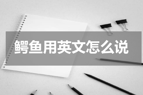鳄鱼用英文怎么说