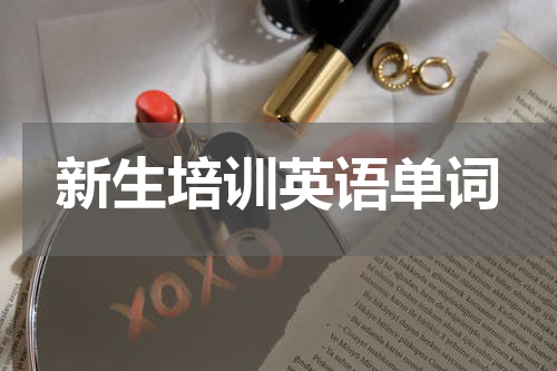新生培训英语单词