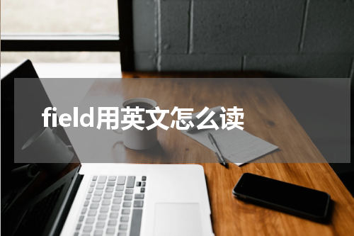 field用英文怎么读