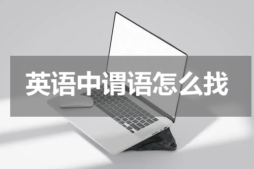 英语中谓语怎么找