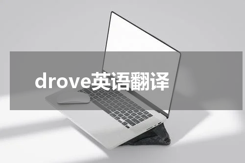 drove英语翻译