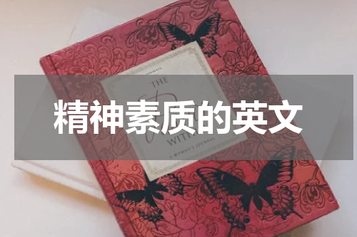 精神素质的英文