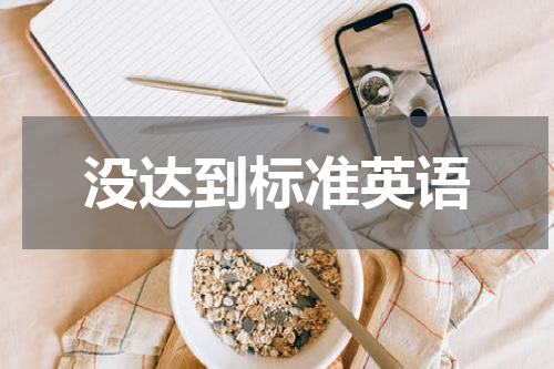 没达到标准英语