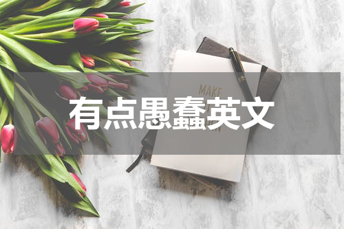 有点愚蠢英文