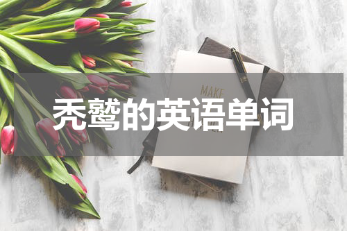 秃鹫的英语单词