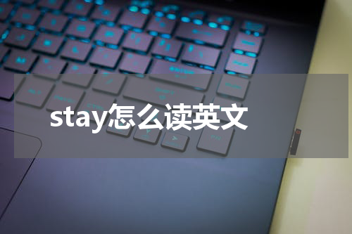 stay怎么读英文