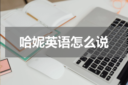 哈妮英语怎么说