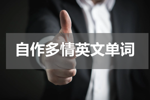 自作多情英文单词