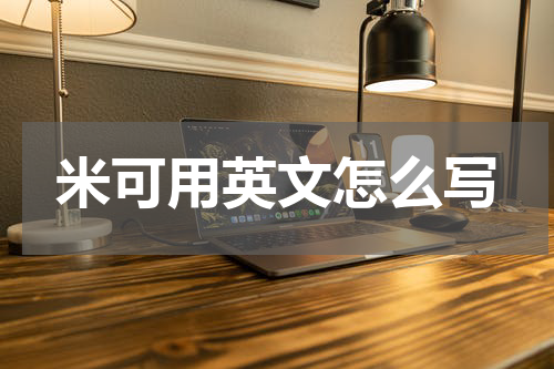米可用英文怎么写