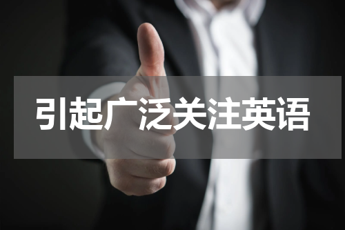 引起广泛关注英语