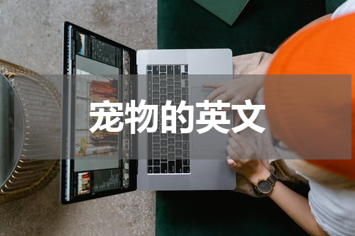 宠物的英文