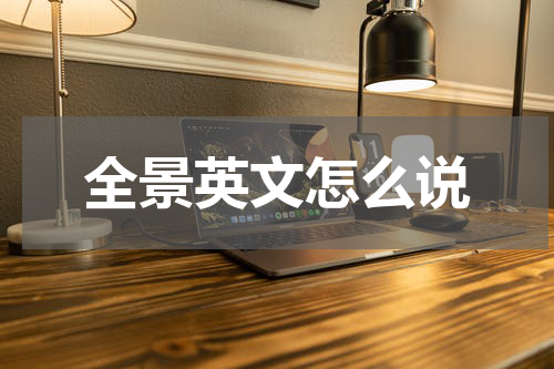 全景英文怎么说