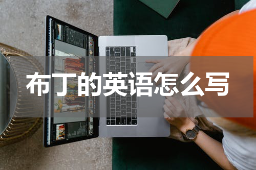 布丁的英语怎么写