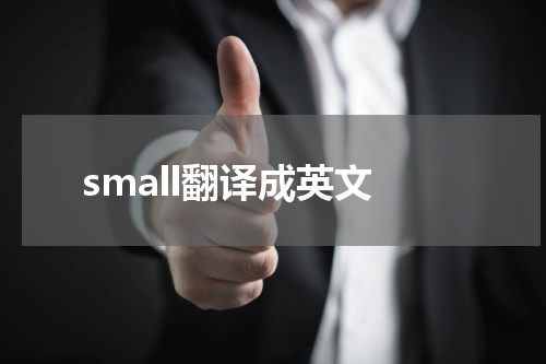 small翻译成英文