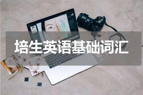 培生英语基础词汇