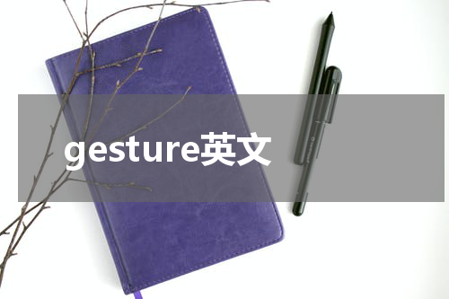 gesture英文